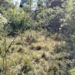 Sítio à venda com 3 quartos, sendo 1 suíte,  em Da Barra, Salto de Pirapora, SP