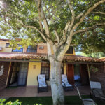 Casa à venda com 4 quartos, sendo 2 suítes, em Geribá, Armação dos Búzios, RJ