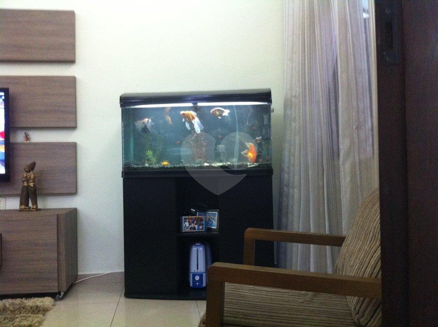 Sobrado à venda com 3 quartos, sendo 1 suíte, em Vila Guilherme, São Paulo, SP