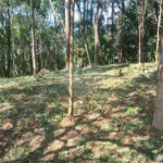 Terreno à venda no condomínio Jardim da Montanha I, Mairiporã - SP