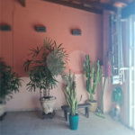 Casa à venda com 2 quartos, sendo 1 suíte,  em Parque das Nações, Indaiatuba, SP