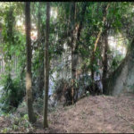 Terreno à venda em Jardim Peri Peri, São Paulo, SP