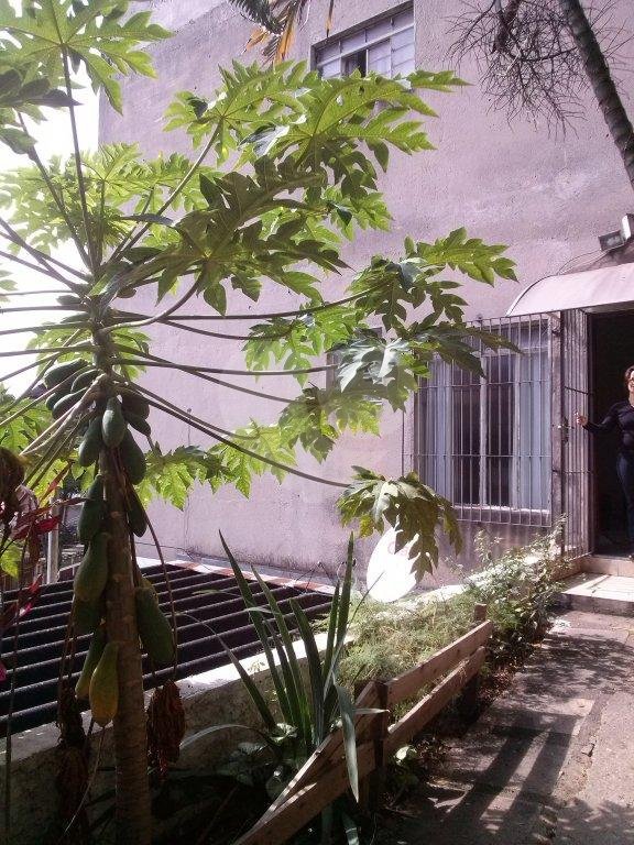 Prédio à venda com 3 quartos em Vila Nova Cachoeirinha, São Paulo, SP