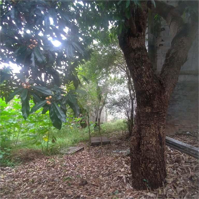 Terreno à venda em Casa Verde, São Paulo, SP