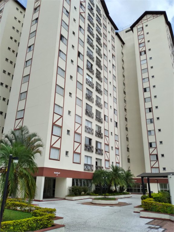 Apartamento à venda com 3 quartos, sendo 1 suíte, em Vila Nova Cachoeirinha, São Paulo, SP