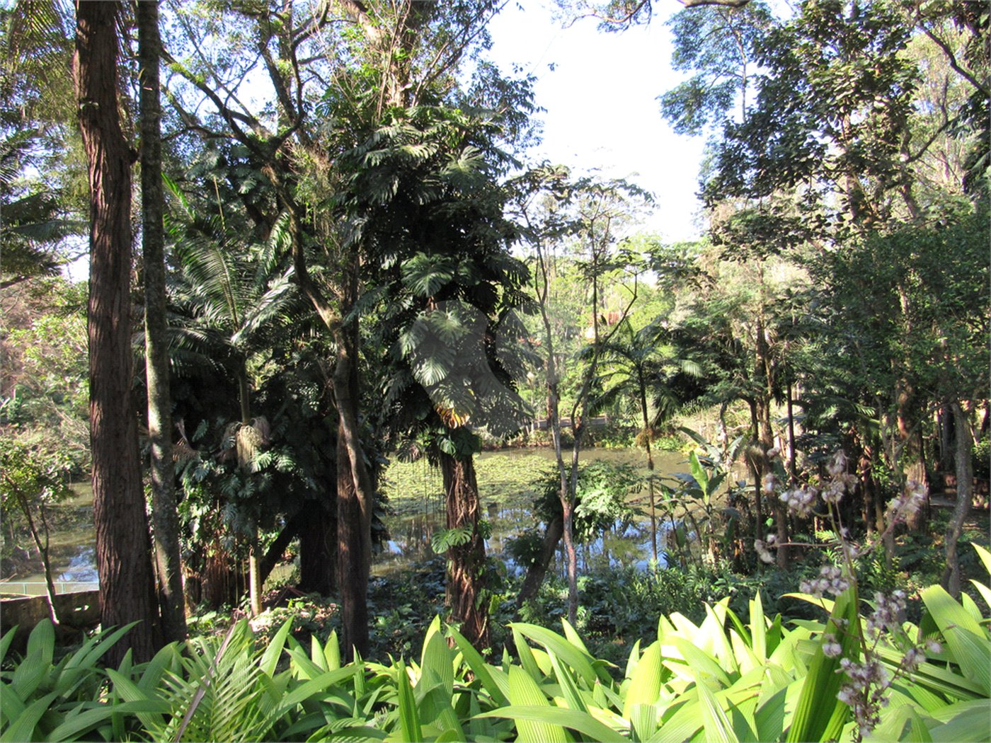 Terreno à venda no condomínio Chácara Flora, São Paulo - SP