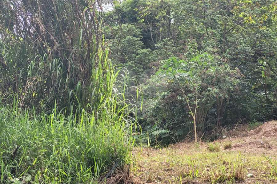 Terreno à venda em Barreiro, Mairiporã, SP