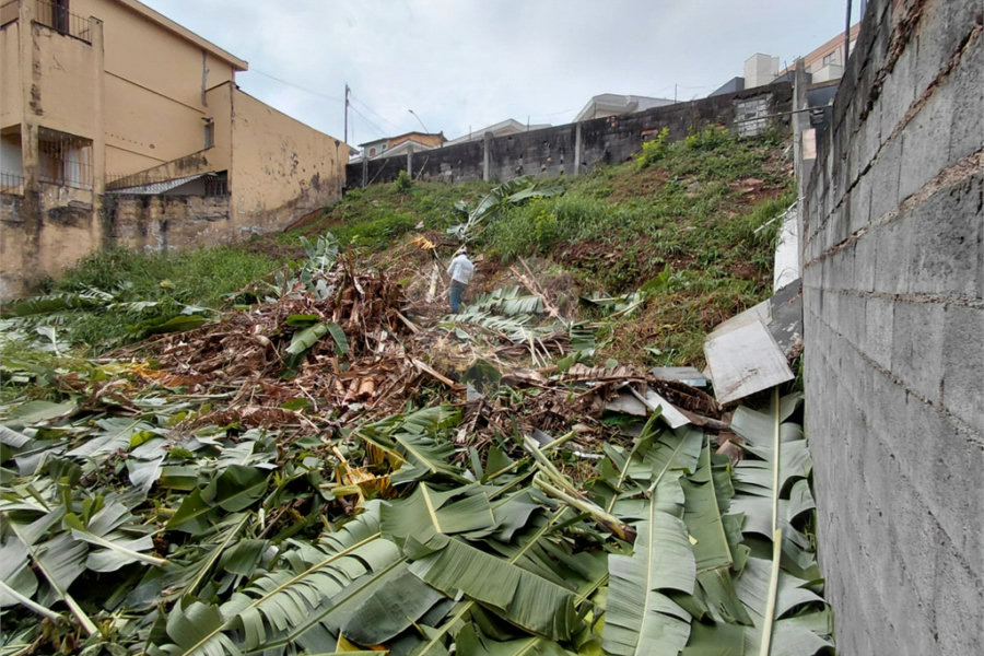 Terreno à venda em Tucuruvi, São Paulo, SP