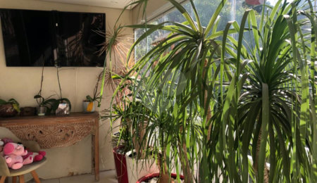 Apartamento à venda com 3 suítes em Lar São Paulo, São Paulo, SP