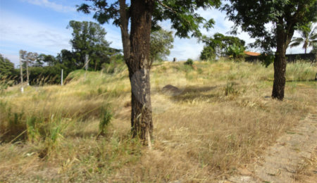 Terreno à venda em Vista Alegre, Vinhedo, SP