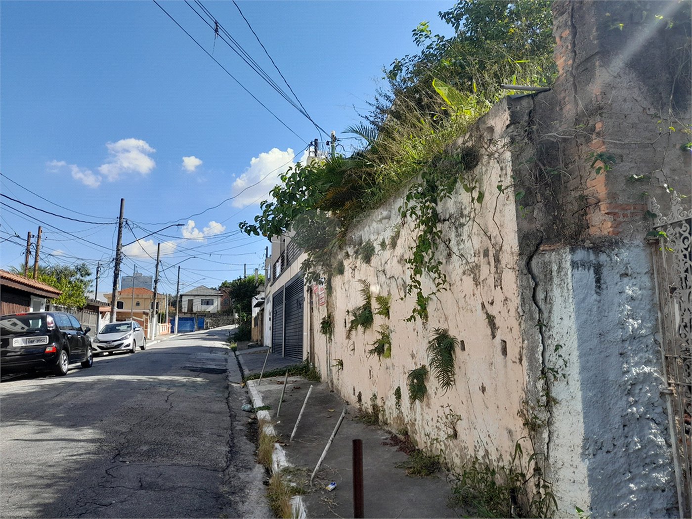 Terreno à venda em Vila Mazzei, São Paulo, SP