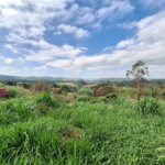 Área de Terra à venda com 1 suíte em Cocais, Itatiba, SP