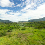 Apartamento para alugar com 2 quartos, sendo 1 suíte, em Campo Grande, Rio de Janeiro, RJ