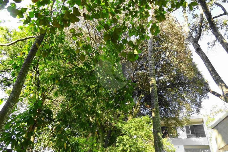 Casa à venda com 4 quartos, sendo 3 suítes,  no condomínio Domus, São Paulo - SP