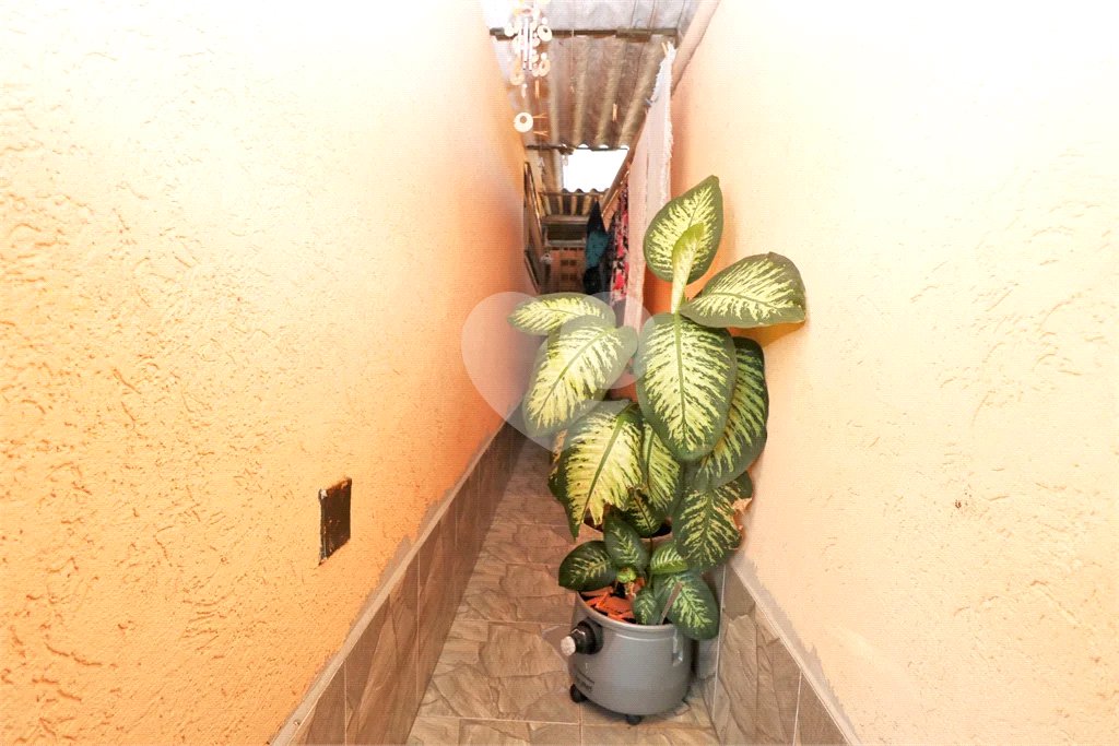 Casa à venda com 3 quartos em Vila Guilherme, São Paulo, SP