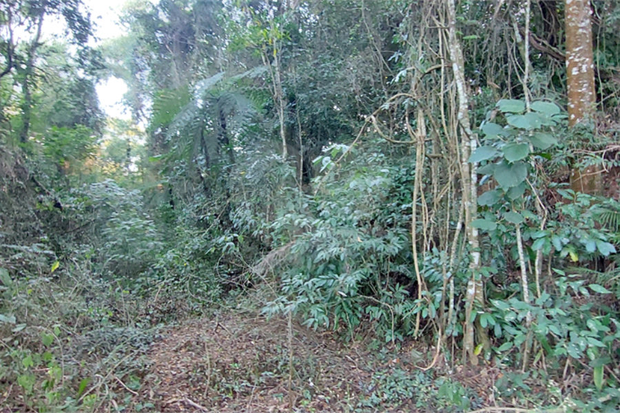 Terreno à venda no condomínio Sausalito, Mairiporã - SP