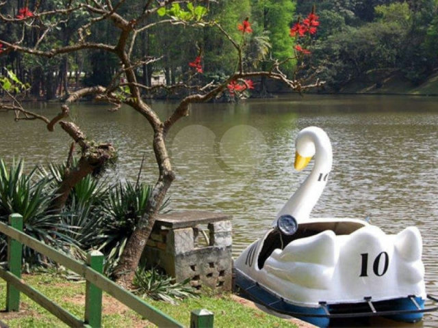 Terreno à venda em Horto Florestal, São Paulo, SP