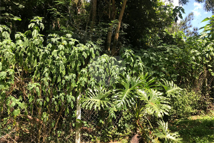 Terreno à venda em Serra da Cantareira, Mairiporã, SP