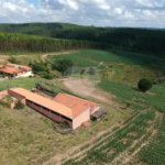 Sítio à venda com 3 quartos em Área Rural de São Miguel Arcanjo, São Miguel Arcanjo, SP