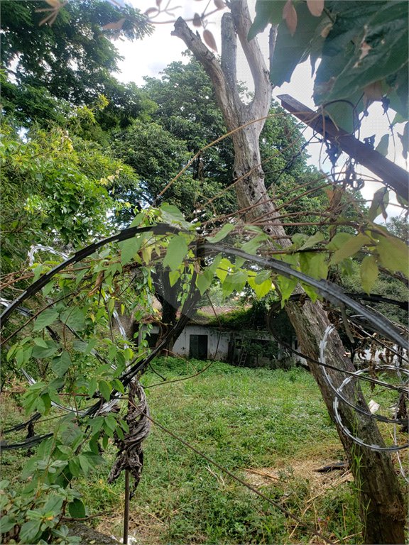 Terreno à venda em Tremembé, São Paulo, SP