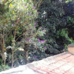 Sobrado à venda com 3 quartos, sendo 1 suíte, em Tremembé, São Paulo, SP
