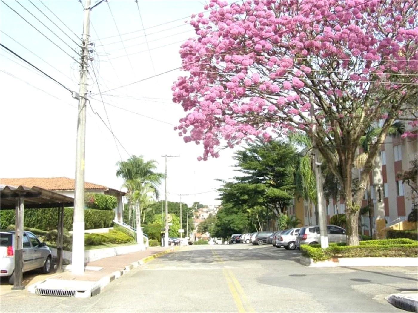 Apartamento à venda com 1 quarto em Jardim São Paulo, Sorocaba, SP