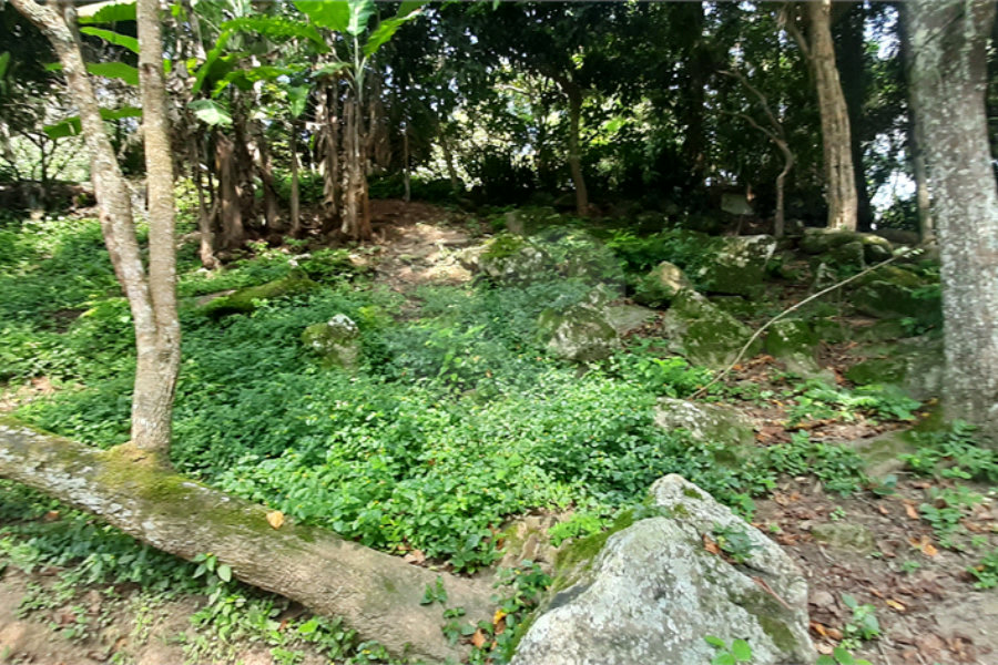 Chácara à venda com 10 quartos, sendo 20 suítes, em Serra da Cantareira, Mairiporã, SP