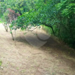 Sítio à venda no Centro, Monte Sião, MG