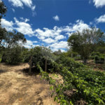 Sítio à venda com 2 quartos em Área Rural de Varginha, Itapetininga, SP