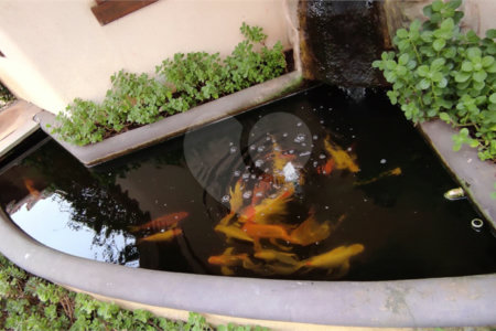 Casa à venda ou para alugar com 7 quartos, sendo 2 suítes, em Jardim Eltonville, Sorocaba, SP