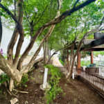 Apartamento à venda com 2 quartos, sendo 1 suíte, em Santana, São Paulo, SP