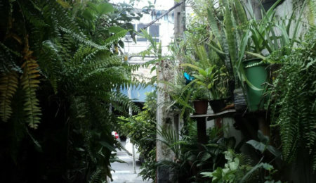 Terreno à venda com 1 quarto em Jardim Floresta, São Paulo, SP