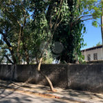 Terreno à venda em Vila Tramontano, São Paulo, SP