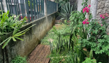 Casa Térrea à venda com 2 quartos em Vila Clementino, São Paulo, SP