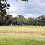 Terreno à venda em Vila do Golf, Ribeirão Preto, SP