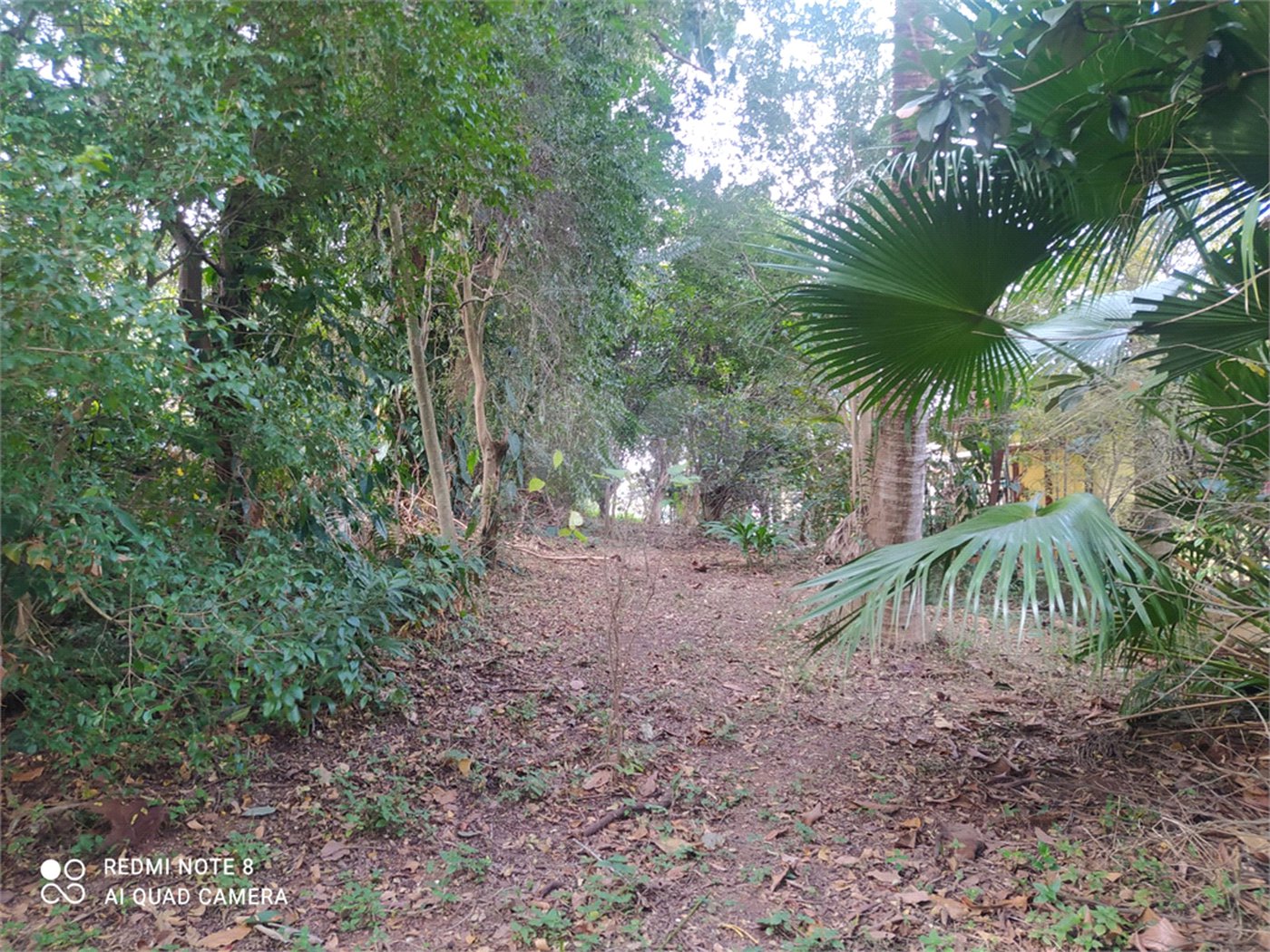 Terreno à venda com 3 quartos, sendo 1 suíte, em Tremembé, São Paulo, SP