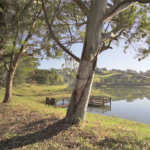 Terreno à venda em Condominio Residencial Paradiso, Itatiba, SP