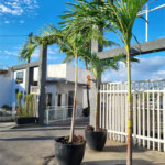 Terreno à venda no condomínio Vivendas do Coqueiral, Rio de Janeiro - RJ