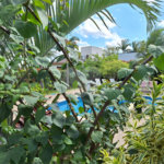 Casa à venda com 3 suítes no condomínio Village Ipanema, Araçoiaba da Serra - SP