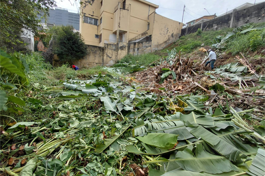 Terreno à venda em Tucuruvi, São Paulo, SP