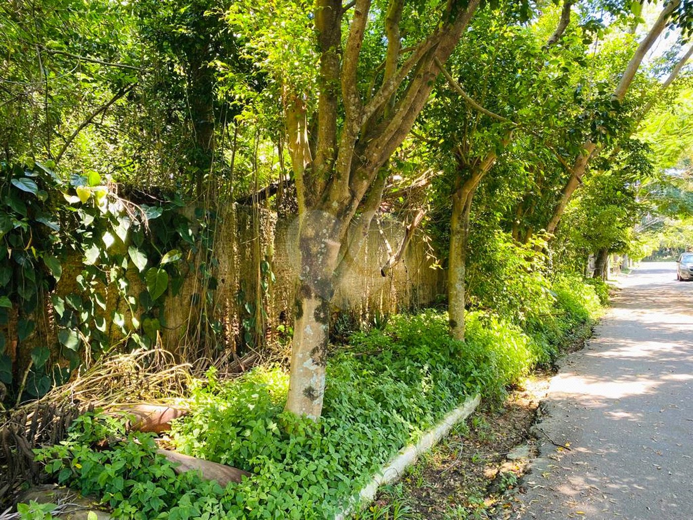 Terreno à venda em Interlagos, São Paulo, SP