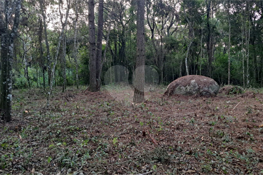 Terreno à venda em Serra da Cantareira, Mairiporã, SP