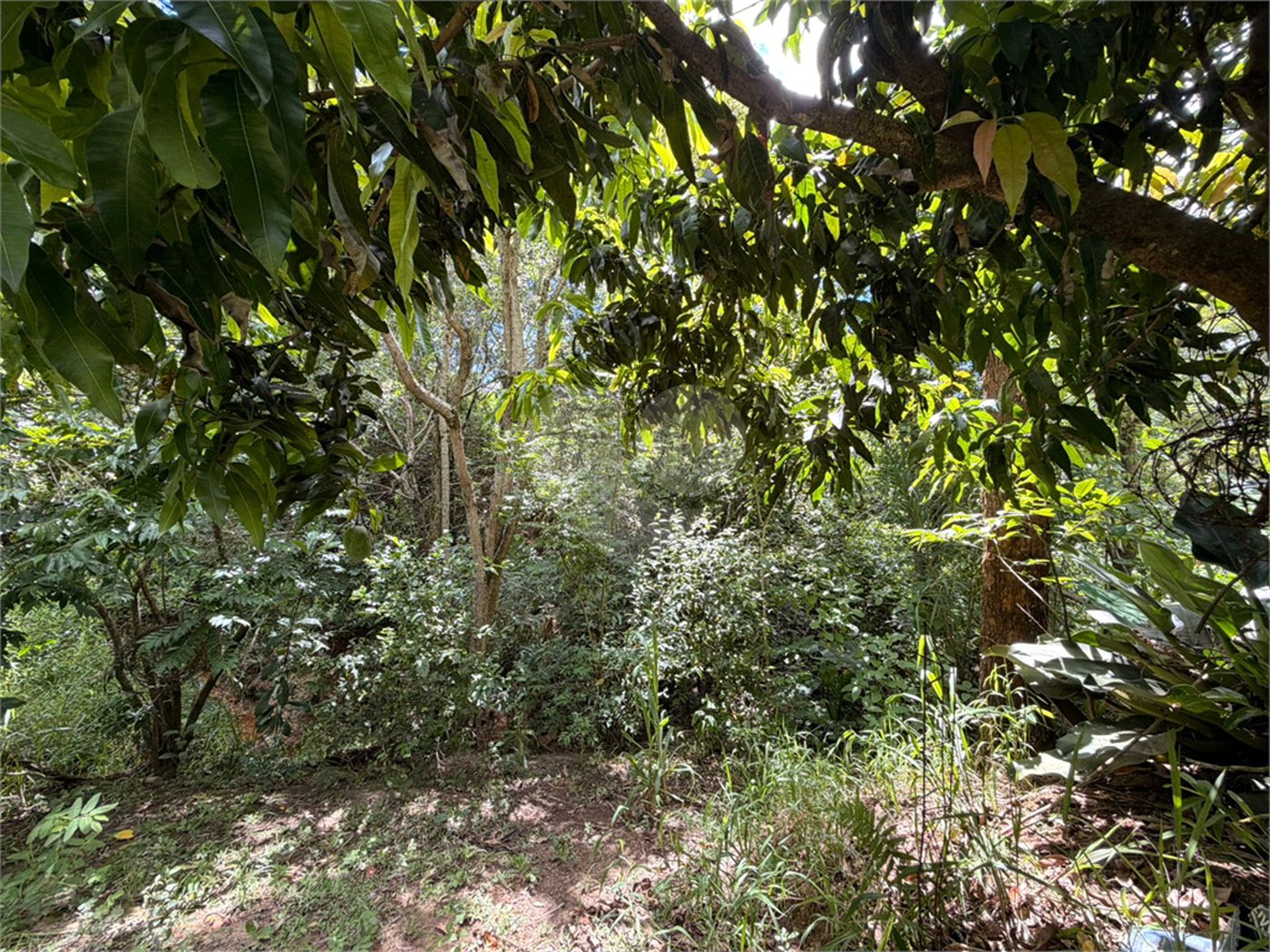 Chácara à venda com 3 quartos, sendo 1 suíte, no Centro, Araçoiaba da Serra, SP
