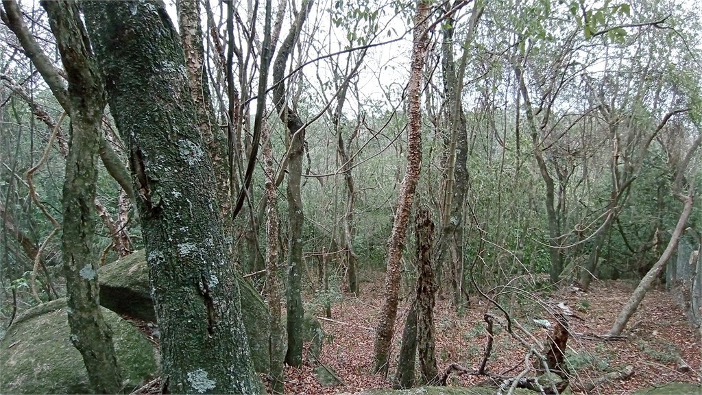 Terreno à venda em Chácaras Alpina, Valinhos, SP