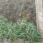 Terreno à venda em Jardim São João (zona Norte), São Paulo, SP
