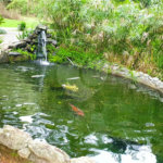 Terreno à venda em Jardim São Vicente, Cotia, SP