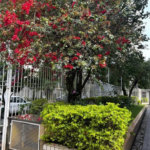 Apartamento à venda com 2 quartos em Vila Madalena, São Paulo, SP