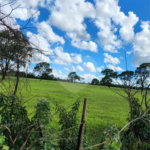 Terreno à venda em Jardim Residencial Iedda, Araraquara, SP