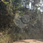 Terreno à venda em Luiz Fagundes, Mairiporã, SP