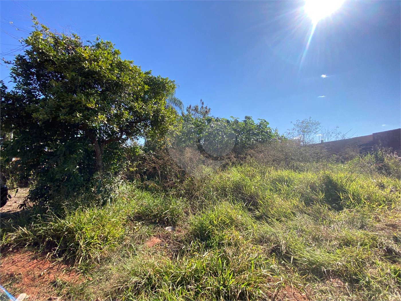 Terreno à venda em Jardim Ivone 1ª Seção, Ponta Porã, MS
